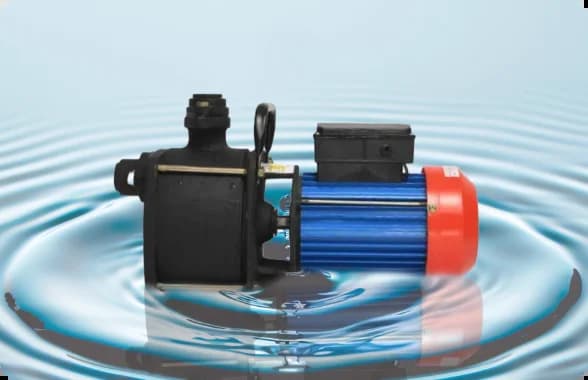 Shallow Well Pumps image