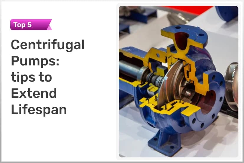 Top 5 Centrifugal Pump Maintenance Tips to Extend Lifespan
