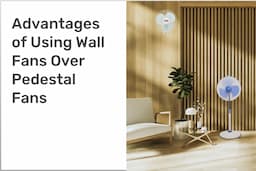 Advantages of Using Wall Fans Over Pedestal Fans
