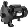 Sameer 1HP Single Phase Black High Flow Centrifugal Water Pump image 1