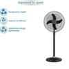 Sameer MKIII Farrata 30W 4 Blade Black Pedestal Fan, Sweep: 400 mm (Pack of 2) image 3