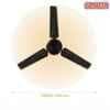 Sameer Jewel 1200mm Gold Copper Winding Ceiling Fan image 6