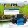 Sameer 0.5HP Single Phase Peripheral Centrifugal Water Pump image 3