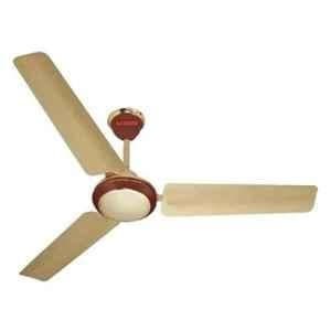 Sameer 50W Golden Brown Fusion Copper Winding Ceiling Fan, Sweep 1200 mm