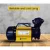Sameer 0.5HP 15m 24 VDC Single Phase Solar Centrifugal Water Pump image 2