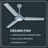 Sameer Ruby 1200mm White Copper Winding Ceiling Fan (Pack of 2) image 5