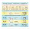 Sameer Geyser 1 Litre White Instant Water Heater image 3