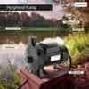 Sameer 1HP Single Phase Black High Flow Centrifugal Water Pump image 2