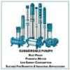 Sameer I-Flo 0.5HP Single Phase Submersible Pump Set for Openwell with Control Panel, Discharge Range upto 4800 lph, Total Head: 72 ft & 1 Year Warranty image 3