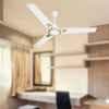 Sameer Ruby 1200mm White Copper Winding Ceiling Fan (Pack of 2) image 2